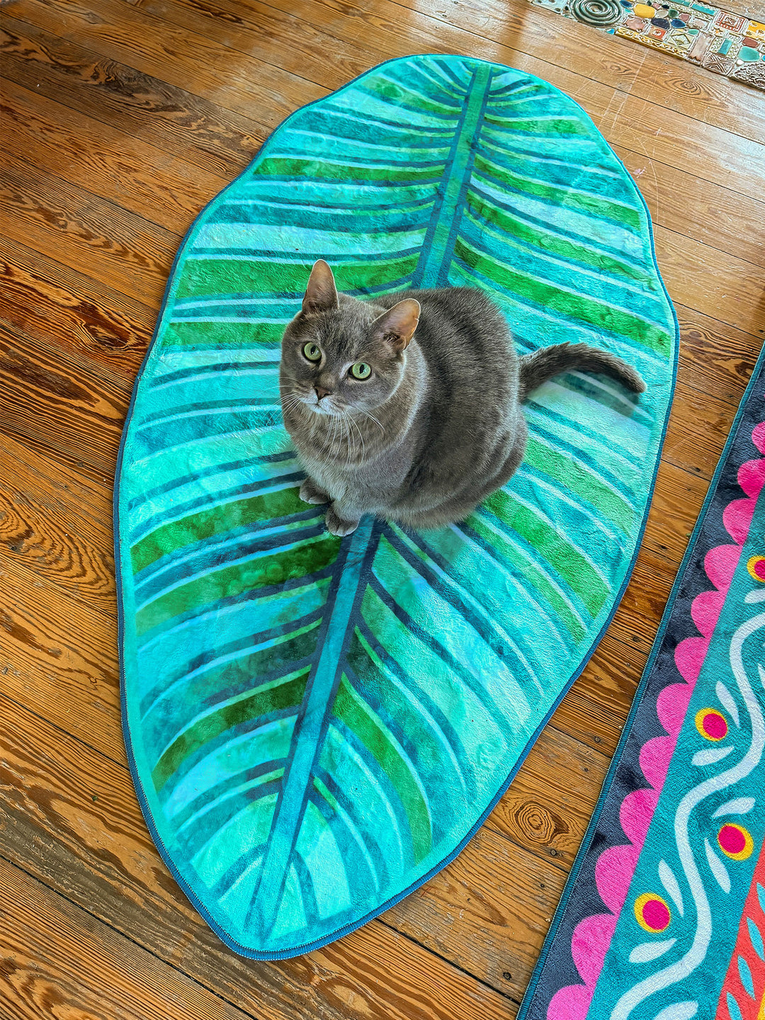 Graue Katze sitzt aufmerksam auf einem grünen Blatt-Teppich mit tropischem Blattdesign in Türkis, Blau und verschiedenen Grüntönen. Der Teppich liegt auf warmem Holzboden neben einem weiteren bunten Teppich mit floralen Mustern. Die Katze blickt direkt in die Kamera und verleiht der Szene eine gemütliche, wohnliche Atmosphäre mit kreativem und naturinspiriertem Stil.
